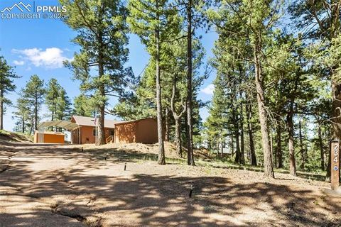 Tiny photo for 234 Wasatch Lane, Florissant, CO 80816 (MLS # 2849950)