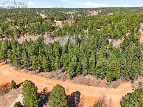 Photo of 278 Cherry Lake Drive, Divide, CO 80814 (MLS # 9178840)