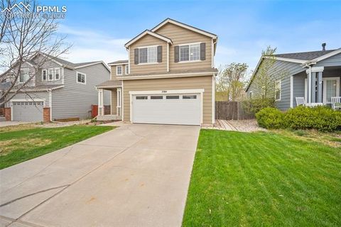 Photo of 7584 Coffee Road, Peyton, CO 80831 (MLS # 8812215)
