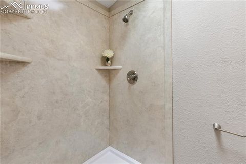 Tiny photo for 585 Mills Ranch Road, Woodland Park, CO 80863 (MLS # 1566186)