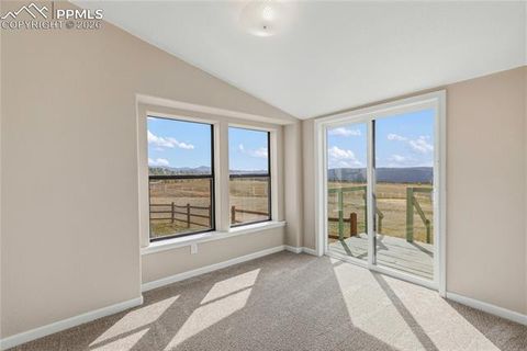 Tiny photo for 585 Mills Ranch Road, Woodland Park, CO 80863 (MLS # 1566186)