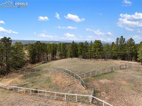 Tiny photo for 585 Mills Ranch Road, Woodland Park, CO 80863 (MLS # 1566186)