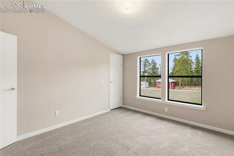 Tiny photo for 585 Mills Ranch Road, Woodland Park, CO 80863 (MLS # 1566186)