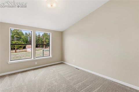 Tiny photo for 585 Mills Ranch Road, Woodland Park, CO 80863 (MLS # 1566186)