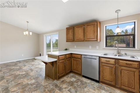 Tiny photo for 585 Mills Ranch Road, Woodland Park, CO 80863 (MLS # 1566186)