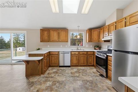 Tiny photo for 585 Mills Ranch Road, Woodland Park, CO 80863 (MLS # 1566186)