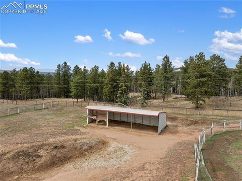Tiny photo for 585 Mills Ranch Road, Woodland Park, CO 80863 (MLS # 1566186)