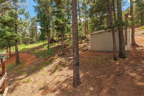 Tiny photo for 185 Summer Haven Drive, Woodland Park, CO 80863 (MLS # 7716409)