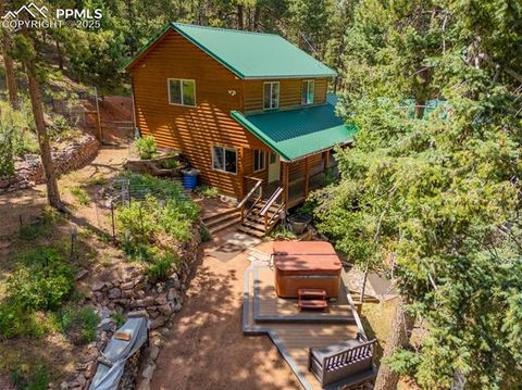 Tiny photo for 185 Summer Haven Drive, Woodland Park, CO 80863 (MLS # 7716409)