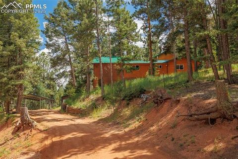 Tiny photo for 185 Summer Haven Drive, Woodland Park, CO 80863 (MLS # 7716409)