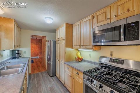 Tiny photo for 185 Summer Haven Drive, Woodland Park, CO 80863 (MLS # 7716409)