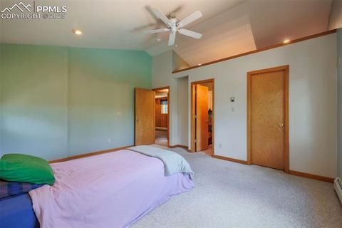 Tiny photo for 185 Summer Haven Drive, Woodland Park, CO 80863 (MLS # 7716409)