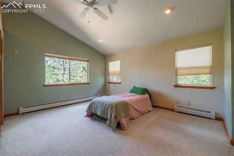 Tiny photo for 185 Summer Haven Drive, Woodland Park, CO 80863 (MLS # 7716409)