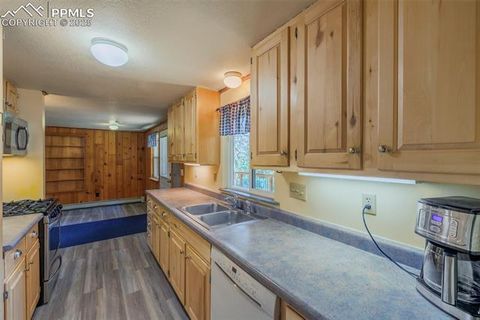 Tiny photo for 185 Summer Haven Drive, Woodland Park, CO 80863 (MLS # 7716409)