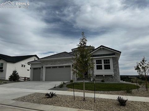 Photo of 12323 Mionetto Court, Colorado Springs, CO 80921 (MLS # 6486952)