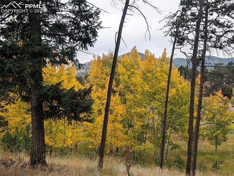 Tiny photo for 931 Heather Court, Woodland Park, CO 80863 (MLS # 4107690)
