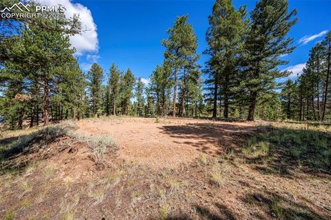 Photo of 210 Donzi Trail, Florissant, CO 80816 (MLS # 5474090) Photo of 210 Donzi Trail, Florissant, CO 80816 (MLS # 5474090)
