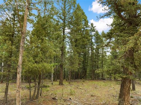 Photo of 810 Ridge Road, Divide, CO 80814 (MLS # 2727953)