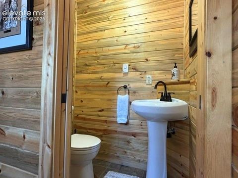 Tiny photo for 269 Southpark Road, Florissant, CO 80816 (MLS # 3584662)