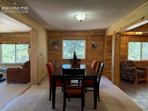 Tiny photo for 269 Southpark Road, Florissant, CO 80816 (MLS # 3584662)
