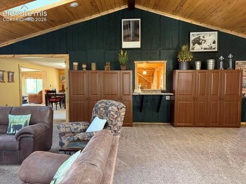 Tiny photo for 269 Southpark Road, Florissant, CO 80816 (MLS # 3584662)