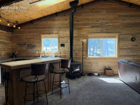 Tiny photo for 269 Southpark Road, Florissant, CO 80816 (MLS # 3584662)