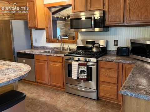 Tiny photo for 269 Southpark Road, Florissant, CO 80816 (MLS # 3584662)