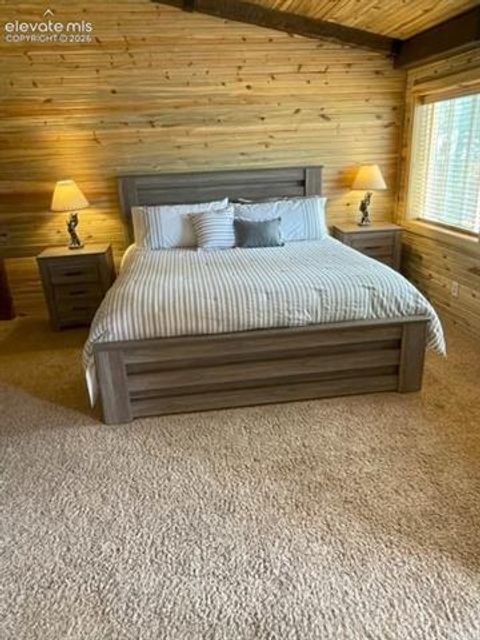 Tiny photo for 269 Southpark Road, Florissant, CO 80816 (MLS # 3584662)