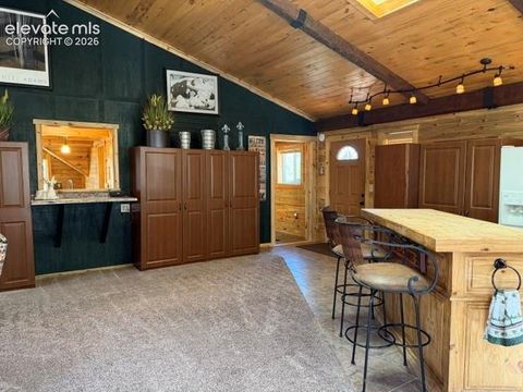 Tiny photo for 269 Southpark Road, Florissant, CO 80816 (MLS # 3584662)