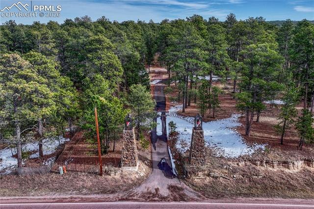 14425 Black Forest Road