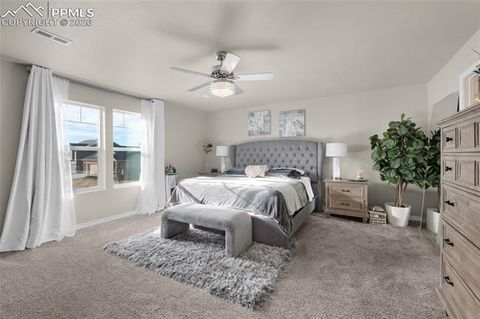Tiny photo for 9033 Yellowtail Way, Colorado Springs, CO 80908 (MLS # 6880487)