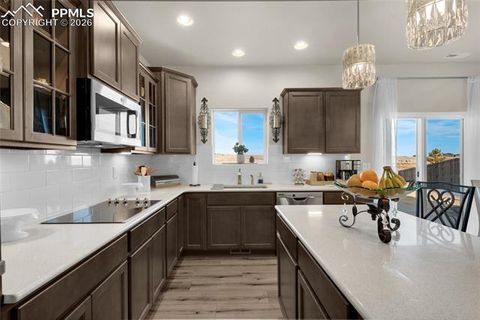 Tiny photo for 9033 Yellowtail Way, Colorado Springs, CO 80908 (MLS # 6880487)