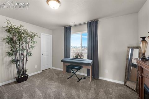 Tiny photo for 9033 Yellowtail Way, Colorado Springs, CO 80908 (MLS # 6880487)