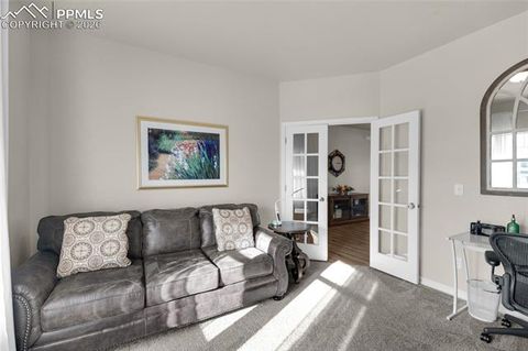 Tiny photo for 9033 Yellowtail Way, Colorado Springs, CO 80908 (MLS # 6880487)
