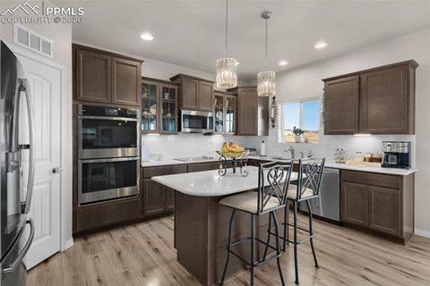 Tiny photo for 9033 Yellowtail Way, Colorado Springs, CO 80908 (MLS # 6880487)