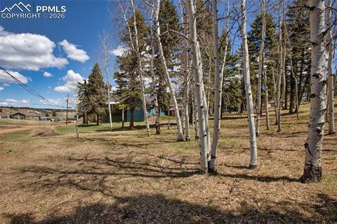 Photo of 571 Will Scarlet Drive, Divide, CO 80814 (MLS # 3556018)