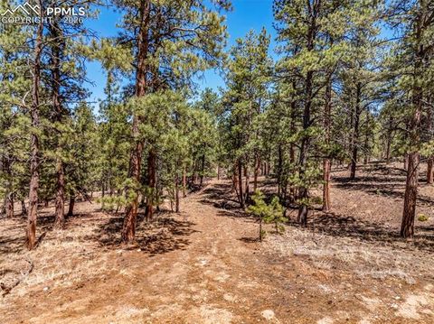 Photo of 185 Sioux Trail, Westcliffe, CO 81252 (MLS # 1323646)