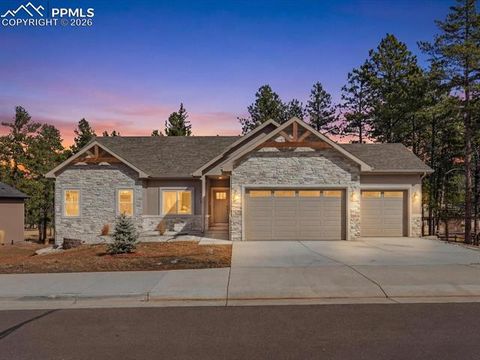 Photo of 1308 Stone Ridge Drive, Woodland Park, CO 80863 (MLS # 2245360)