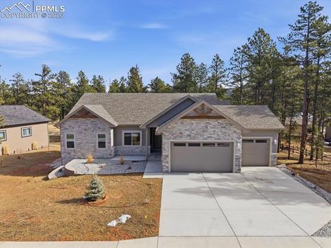 Tiny photo for 1308 Stone Ridge Drive, Woodland Park, CO 80863 (MLS # 2245360)
