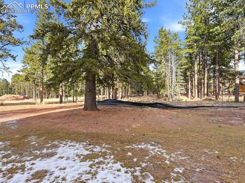 Tiny photo for 1308 Stone Ridge Drive, Woodland Park, CO 80863 (MLS # 2245360)