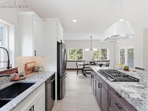 Tiny photo for 1308 Stone Ridge Drive, Woodland Park, CO 80863 (MLS # 2245360)