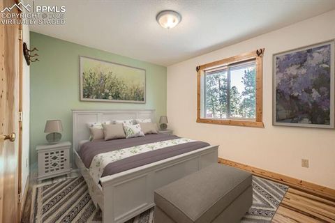 Tiny photo for 25 Amanda Circle, Florissant, CO 80816 (MLS # 5850551)