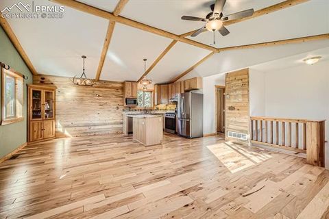Tiny photo for 25 Amanda Circle, Florissant, CO 80816 (MLS # 5850551)