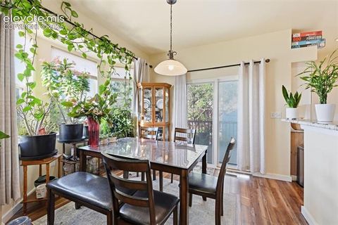 Tiny photo for 1023 Whistler Hollow Drive, Colorado Springs, CO 80906 (MLS # 5322339)