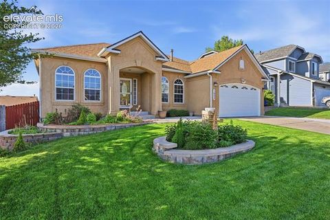 Photo of 1023 Whistler Hollow Drive, Colorado Springs, CO 80906 (MLS # 5322339)