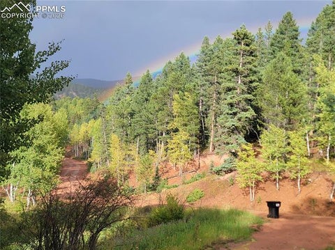 Tiny photo for 325 Willow Road, Divide, CO 80814 (MLS # 5250888)