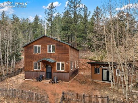 Photo of 325 Willow Road, Divide, CO 80814 (MLS # 5250888)