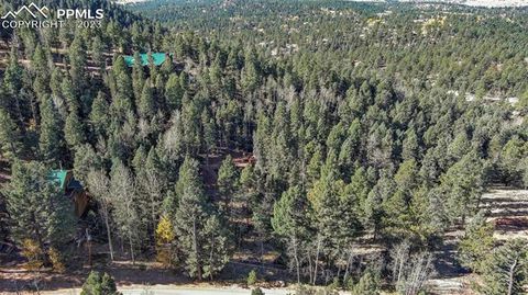Photo of 2700 N Mountain Estates Road, Florissant, CO 80816 (MLS # 8671640)