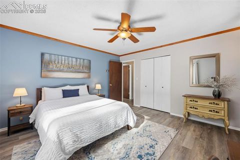 Tiny photo for 1731 Navajo Trail, Woodland Park, CO 80863 (MLS # 2168474)