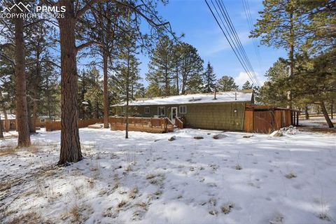 Tiny photo for 1731 Navajo Trail, Woodland Park, CO 80863 (MLS # 2168474)